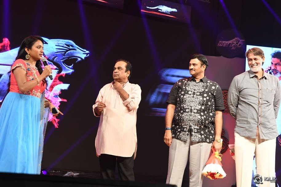 Jaguar-Movie-Audio-Launch